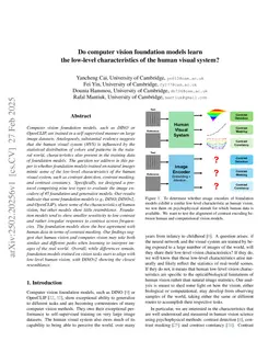 Do computer vision foundation models learn the low-level characteristics of the human visual system?