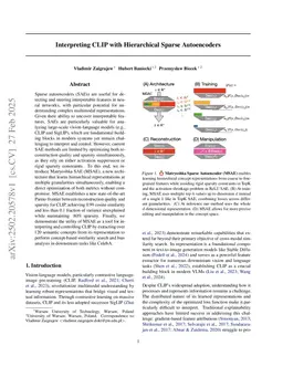 Interpreting CLIP with Hierarchical Sparse Autoencoders