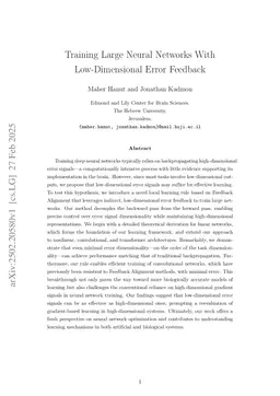 Training Large Neural Networks With Low-Dimensional Error Feedback