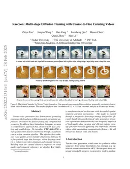 Raccoon: Multi-stage Diffusion Training with Coarse-to-Fine Curating Videos