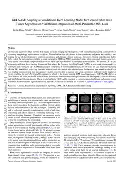 GBT-SAM: A Parameter-Efficient Depth-Aware Model for Generalizable Brain tumour Segmentation on mp-MRI