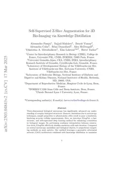 Self-Supervised Z-Slice Augmentation for 3D Bio-Imaging via Knowledge Distillation