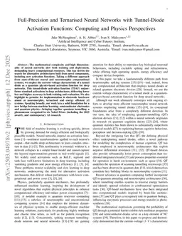 Full-Precision and Ternarised Neural Networks with Tunnel-Diode Activation Functions: Computing and Physics Perspectives