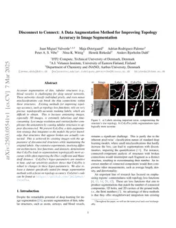 Disconnect to Connect: A Data Augmentation Method for Improving Topology Accuracy in Image Segmentation