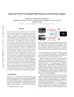 Improving SAM for Camouflaged Object Detection via Dual Stream Adapters