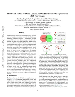 MultiCo3D: Multi-Label Voxel Contrast for One-Shot Incremental Segmentation of 3D Neuroimages