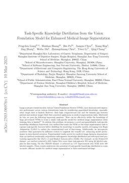 Task-Specific Knowledge Distillation from the Vision Foundation Model for Enhanced Medical Image Segmentation