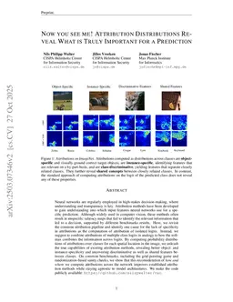 Now you see me! Attribution Distributions Reveal What is Truly Important for a Prediction