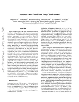 Anatomy-Aware Conditional Image-Text Retrieval