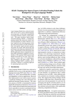 SEAP: Training-free Sparse Expert Activation Pruning Unlock the Brainpower of Large Language Models