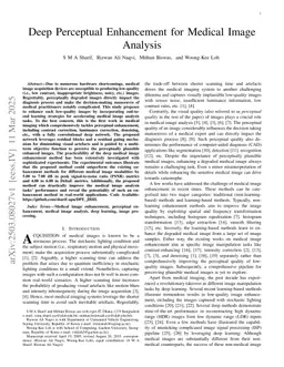Deep Perceptual Enhancement for Medical Image Analysis
