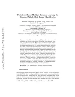 Prototype-Based Multiple Instance Learning for Gigapixel Whole Slide Image Classification