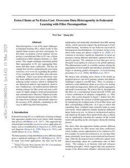 Extra Clients at No Extra Cost: Overcome Data Heterogeneity in Federated Learning with Filter Decomposition