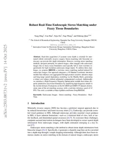 Robust Real-Time Endoscopic Stereo Matching under Fuzzy Tissue Boundaries