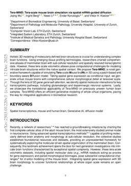 Tera-MIND: Tera-scale mouse brain simulation via spatial mRNA-guided diffusion