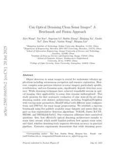 Can Optical Denoising Clean Sonar Images? A Benchmark and Fusion Approach