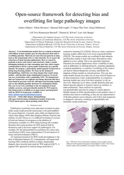 Open-source framework for detecting bias and overfitting for large pathology images