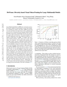 DivPrune: Diversity-based Visual Token Pruning for Large Multimodal Models