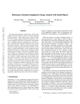 Boltzmann Attention Sampling for Image Analysis with Small Objects
