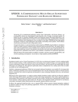 SPIDER: A Comprehensive Multi-Organ Supervised Pathology Dataset and Baseline Models