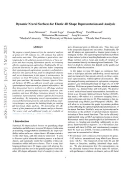 Dynamic Neural Surfaces for Elastic 4D Shape Representation and Analysis