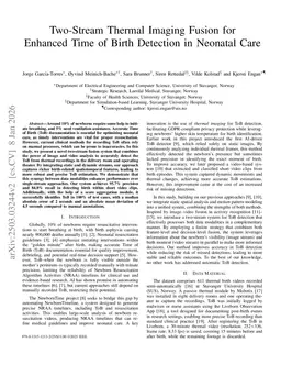 Two-Stream Thermal Imaging Fusion for Enhanced Time of Birth Detection in Neonatal Care