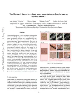 TopoMortar: A dataset to evaluate image segmentation methods focused on topology accuracy