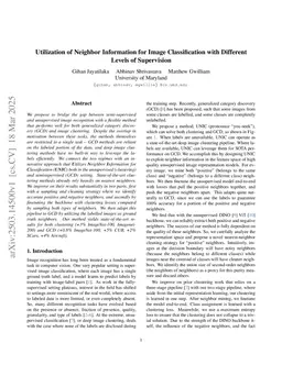 Utilization of Neighbor Information for Image Classification with Different Levels of Supervision