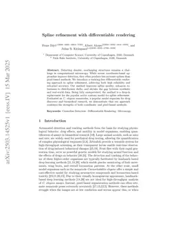 Spline refinement with differentiable rendering