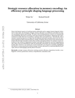 Strategic resource allocation in memory encoding: An efficiency principle shaping language processing