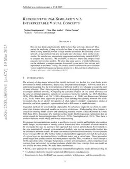 Representational Similarity via Interpretable Visual Concepts