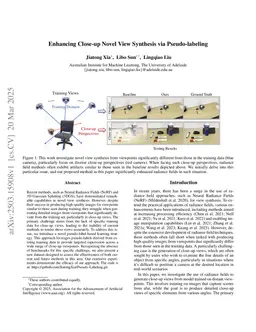 Enhancing Close-up Novel View Synthesis via Pseudo-labeling