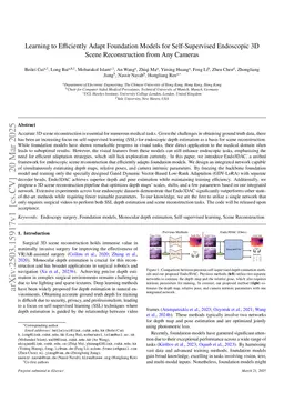 Learning to Efficiently Adapt Foundation Models for Self-Supervised Endoscopic 3D Scene Reconstruction from Any Cameras