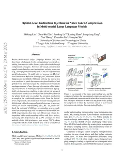 Hybrid-Level Instruction Injection for Video Token Compression in Multi-modal Large Language Models