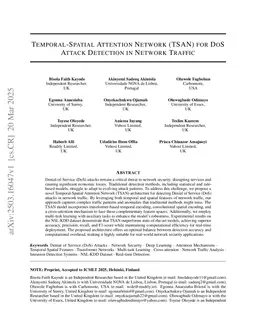 Temporal-Spatial Attention Network (TSAN) for DoS Attack Detection in Network Traffic