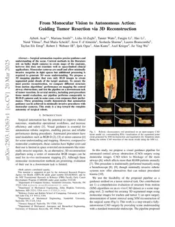 From Monocular Vision to Autonomous Action: Guiding Tumor Resection via 3D Reconstruction