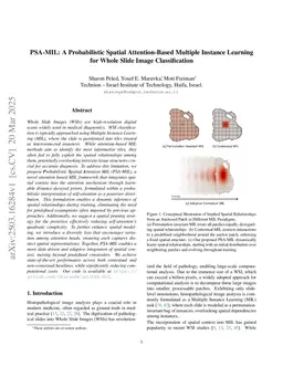 PSA-MIL: A Probabilistic Spatial Attention-Based Multiple Instance Learning for Whole Slide Image Classification