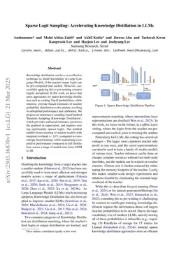 Sparse Logit Sampling: Accelerating Knowledge Distillation in LLMs