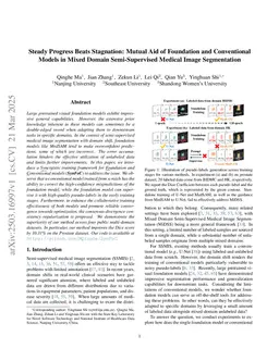 Steady Progress Beats Stagnation: Mutual Aid of Foundation and Conventional Models in Mixed Domain Semi-Supervised Medical Image Segmentation