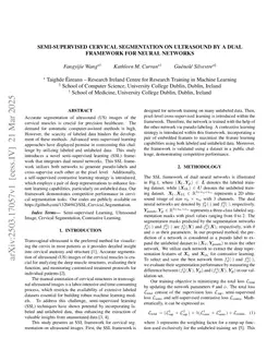 Semi-supervised Cervical Segmentation on Ultrasound by A Dual Framework for Neural Networks