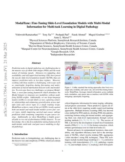 ModalTune: Fine-Tuning Slide-Level Foundation Models with Multi-Modal Information for Multi-task Learning in Digital Pathology