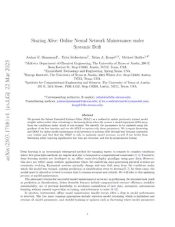Staying Alive: Online Neural Network Maintenance and Systemic Drift