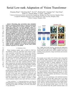 Serial Low-rank Adaptation of Vision Transformer