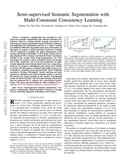 Semi-supervised Semantic Segmentation with Multi-Constraint Consistency Learning