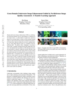 Cross-Domain Underwater Image Enhancement Guided by No-Reference Image Quality Assessment: A Transfer Learning Approach