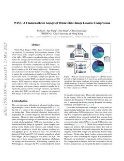 WISE: A Framework for Gigapixel Whole-Slide-Image Lossless Compression