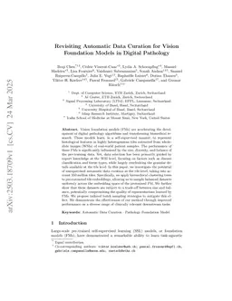 Revisiting Automatic Data Curation for Vision Foundation Models in Digital Pathology