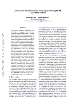 Construction Identification and Disambiguation Using BERT: A Case Study of NPN