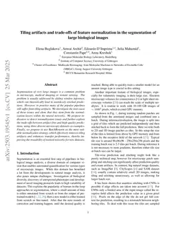 Tiling artifacts and trade-offs of feature normalization in the segmentation of large biological images