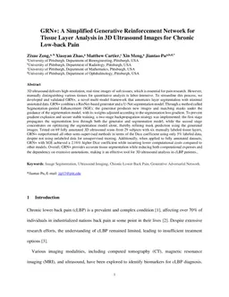 GRN+: A Simplified Generative Reinforcement Network for Tissue Layer Analysis in 3D Ultrasound Images for Chronic Low-back Pain